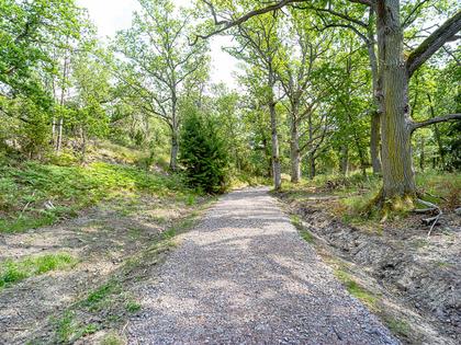 Bild av närområdet