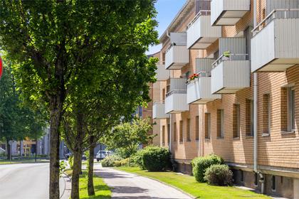 Bild av närområdet