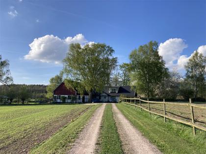 Bild av närområdet