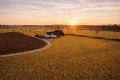 Bild av närområdet