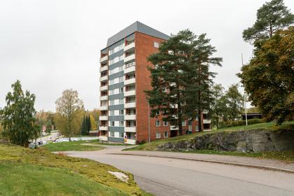 Bild av närområdet