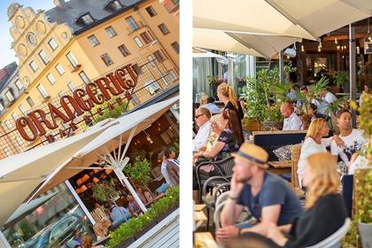 Bild av närområdet