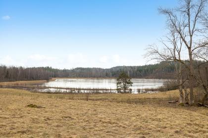 Bild av närområdet