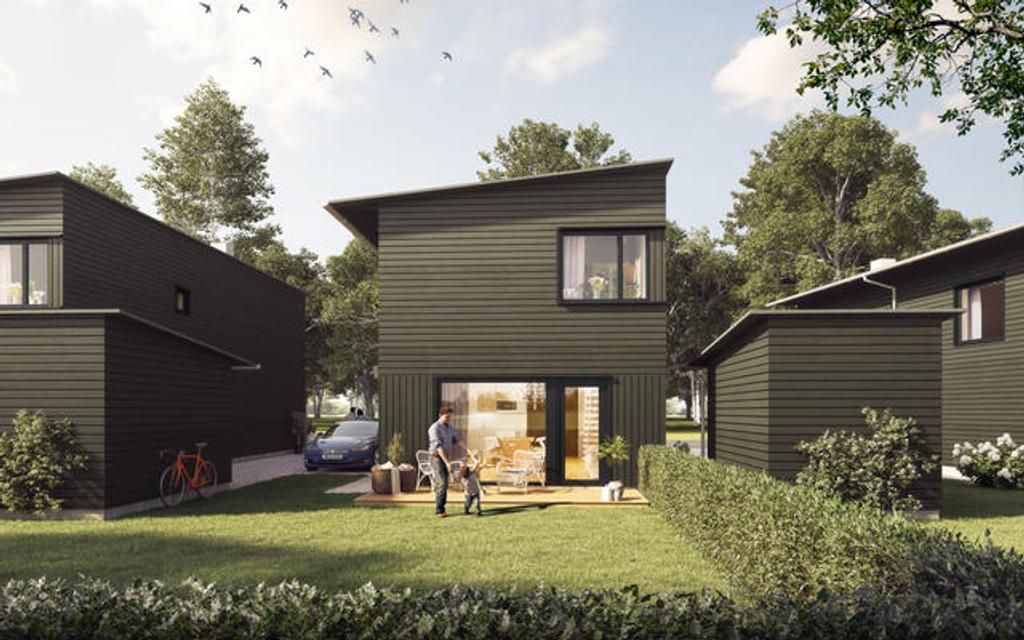 Hovslätts Ängar - Ängslyckan