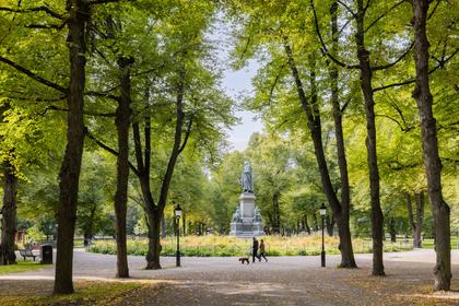 Bild av närområdet