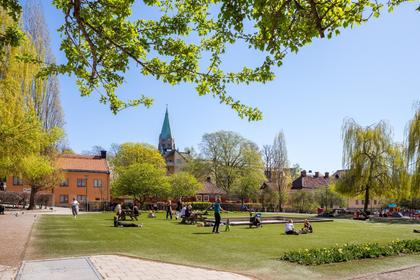 Bild av närområdet