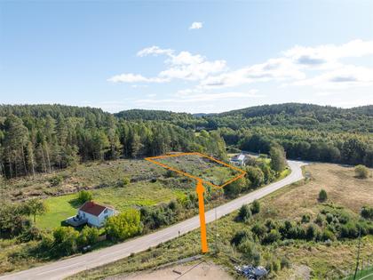 Bild av närområdet