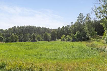 Bild av närområdet