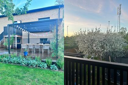 Bild av närområdet