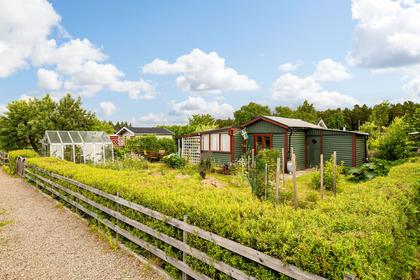 Bild av närområdet