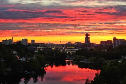 Bild av närområdet