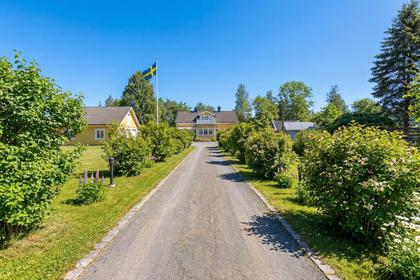 Bild av närområdet