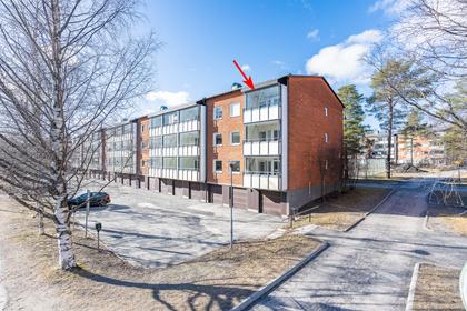 Bild av närområdet