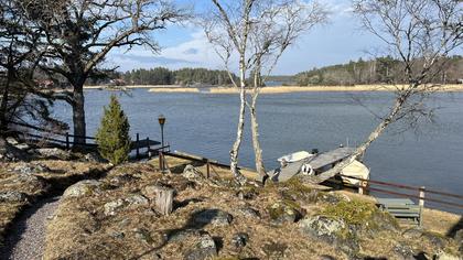 Bild av närområdet