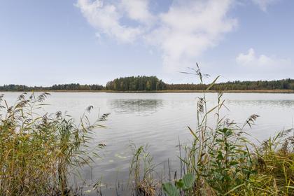 Bild av närområdet