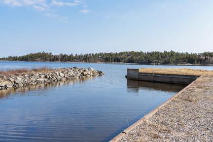 Bild av närområdet