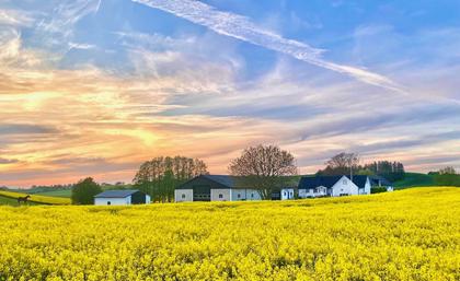 Bild av närområdet