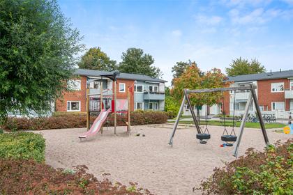 Bild av närområdet