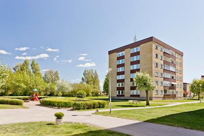 Bild av närområdet