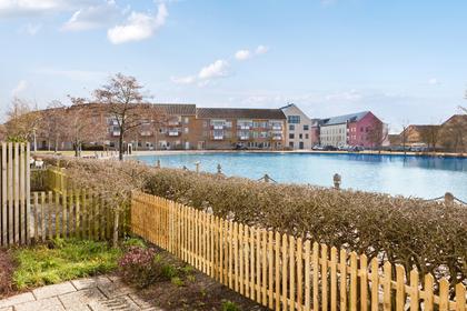 Bild av närområdet