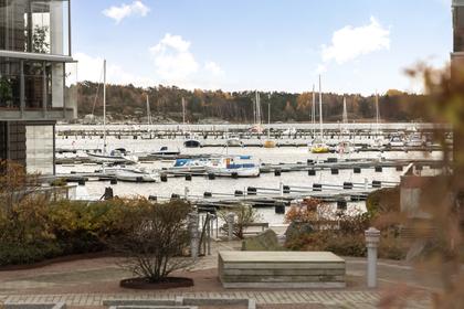 Bild av närområdet