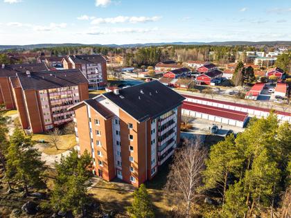 Bild av närområdet