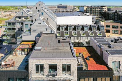 Bild av närområdet