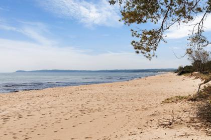 Bild av närområdet