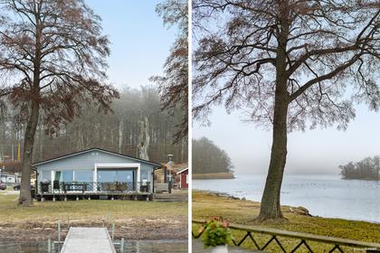 Bild av närområdet