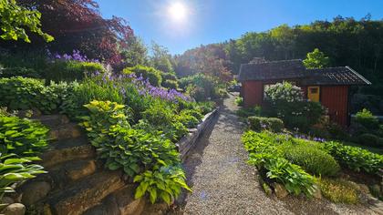 Bild av närområdet