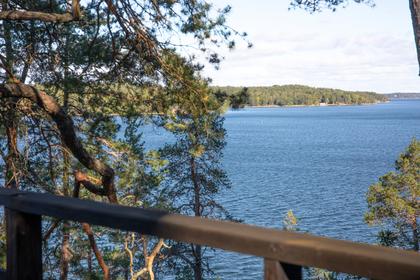 Bild av närområdet