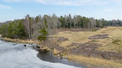 Bild av närområdet