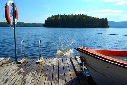 Bild av närområdet