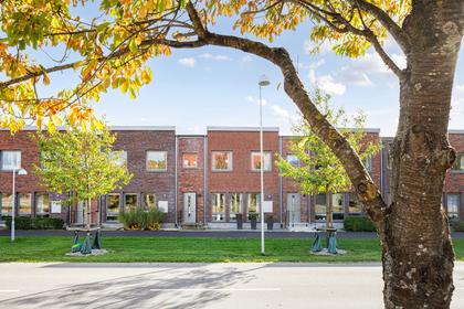 Bild av närområdet