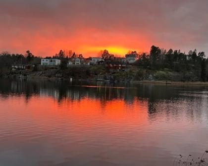 Bild av närområdet