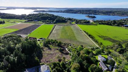 Bild av närområdet