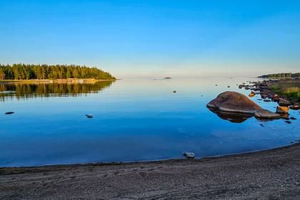 Bild av närområdet