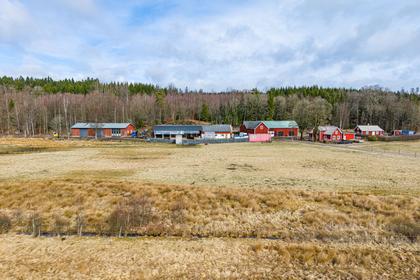 Bild av närområdet