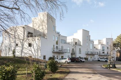 Bild av närområdet