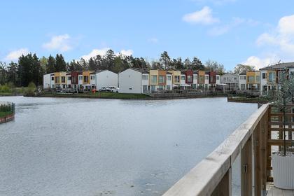 Bild av närområdet