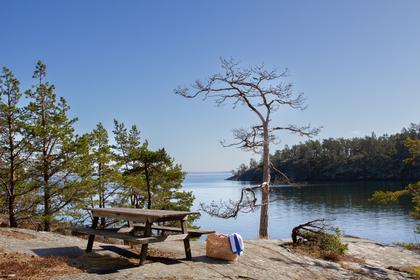 Bild av närområdet