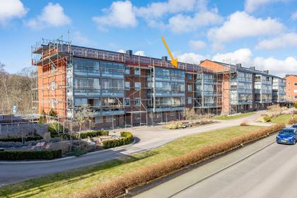 Bild av närområdet