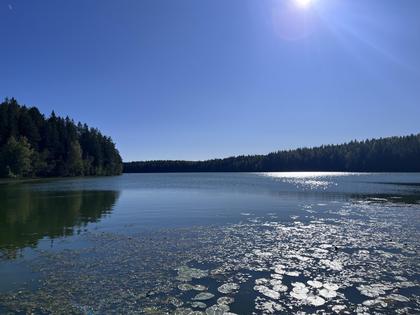 Bild av närområdet