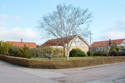 Bild av närområdet