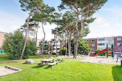 Bild av närområdet