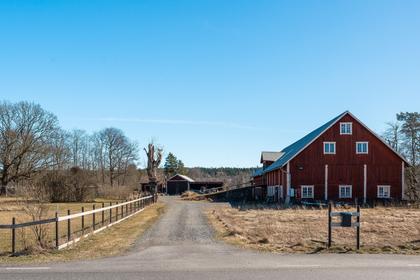 Bild av närområdet