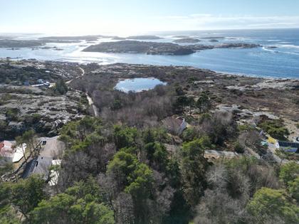 Bild av närområdet