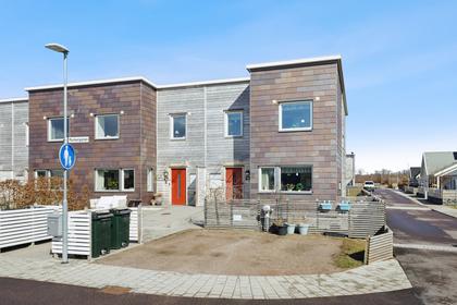 Bild av närområdet