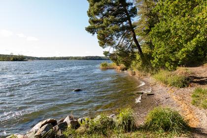 Bild av närområdet