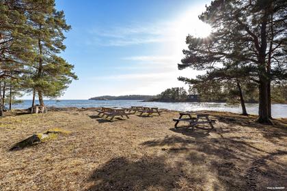 Bild av närområdet